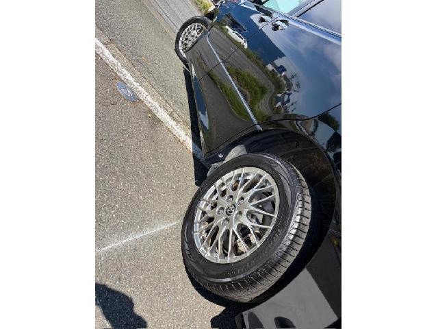 27185049_carP_l_10.jpg