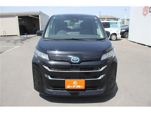 cae220e6ca1f4d8f41b74c3f369e38f7.jpg