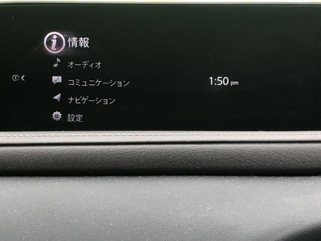 25866412_carP_l_19.jpg