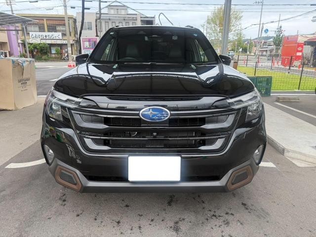 0704918A30260817W00203.jpg