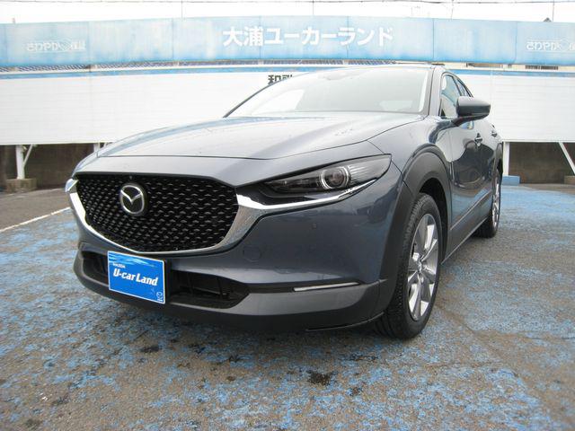 26526146_carP_l_1.jpg