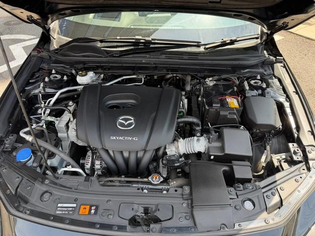 0520216A30261011W00413.jpg