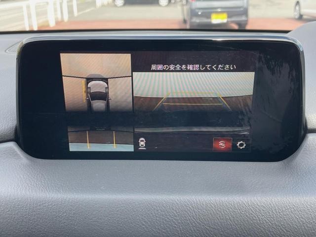 26556867_carP_l_4.jpg