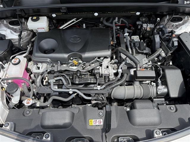 17d9095cbac10a8a1a9ec6f745b1fa96.jpg