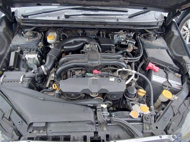 08.jpg