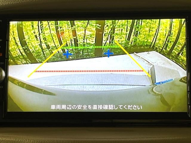 27161528_carP_l_4.jpg