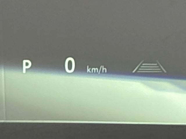 24700456_carP_l_13.jpg