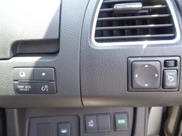 23987616_carP_l_9.jpg