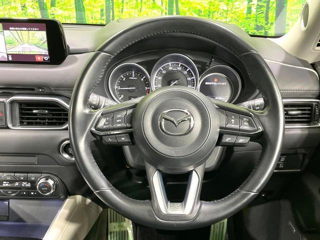 24542203_carP_l_7.jpg