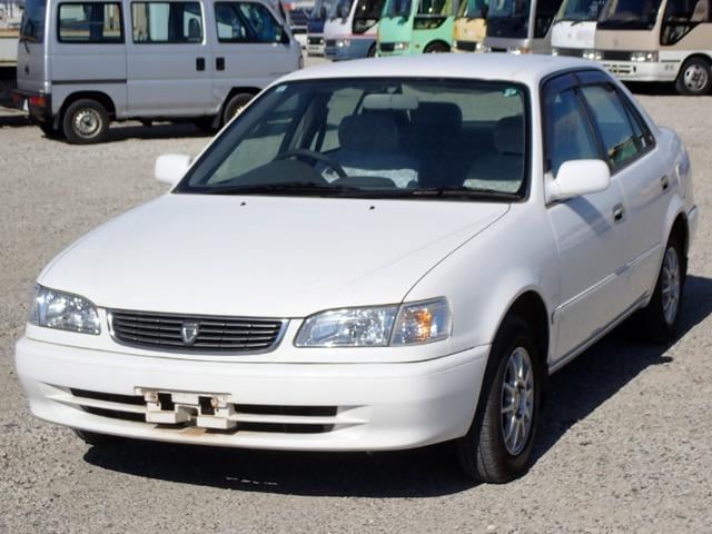 95845722de96d43dca975a47a247ab81.jpeg