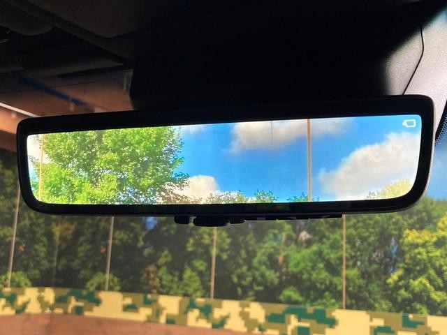27094212_carP_l_13.jpg