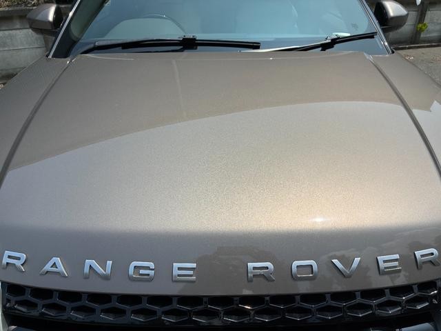 0561518A30260724W00116.jpg