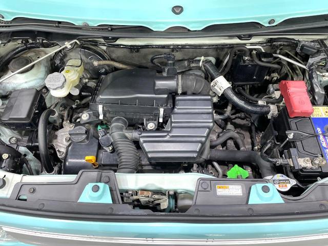 24542205_carP_l_16.jpg