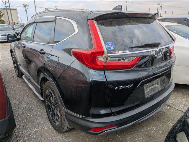 05.jpg