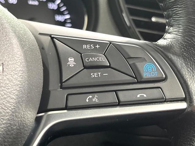 24461607_carP_l_13.jpg