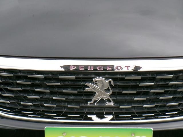 0703134A30260906W00215.jpg