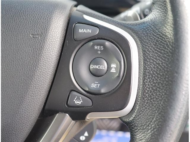 0500205A20261016G00217.jpg