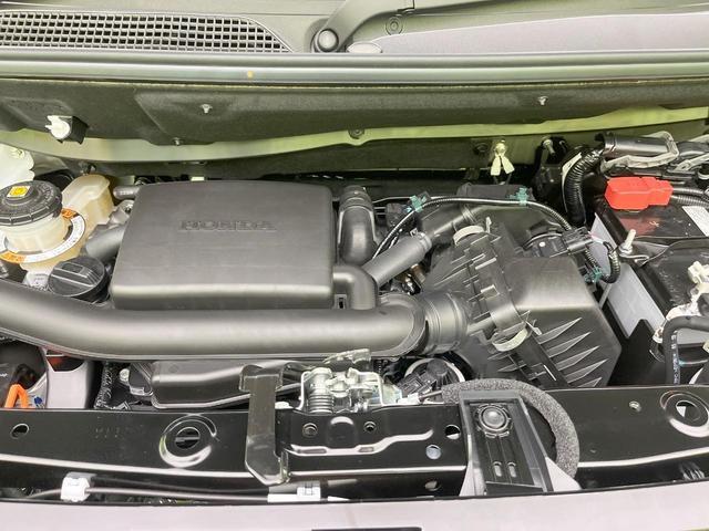 24562152_carP_l_16.jpg
