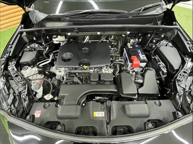 0208503A20261008D00613.jpg