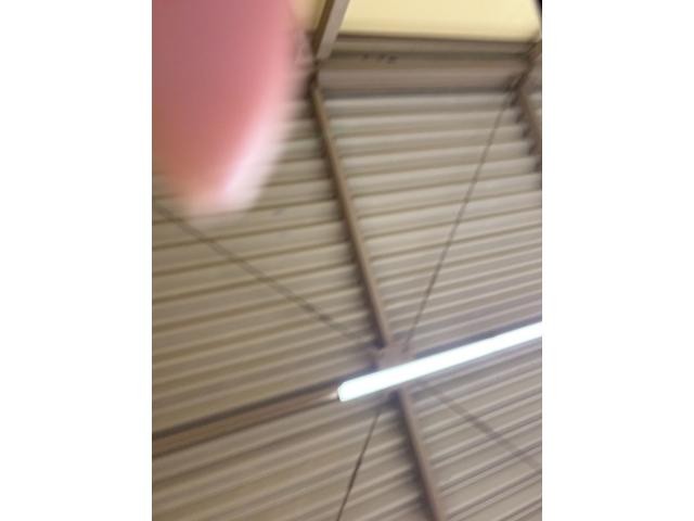 9731030A30260817W00207.jpg