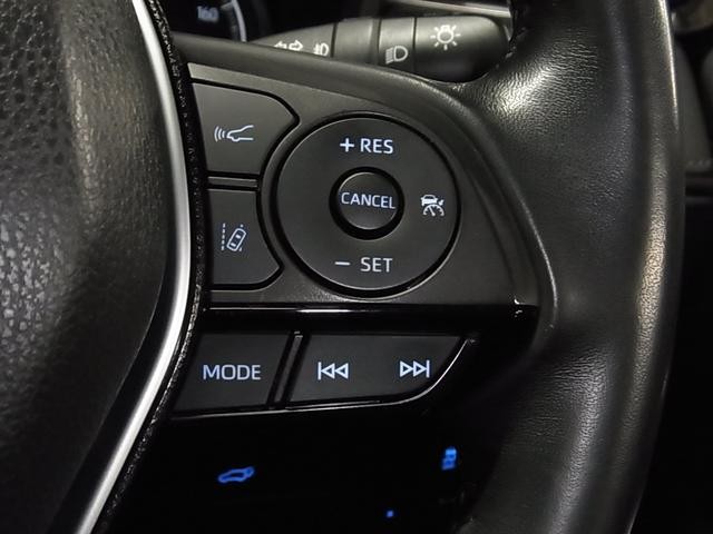 0500075A20260905K00419.jpg