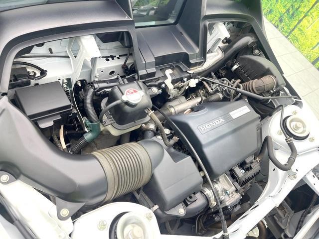 24581747_carP_l_16.jpg