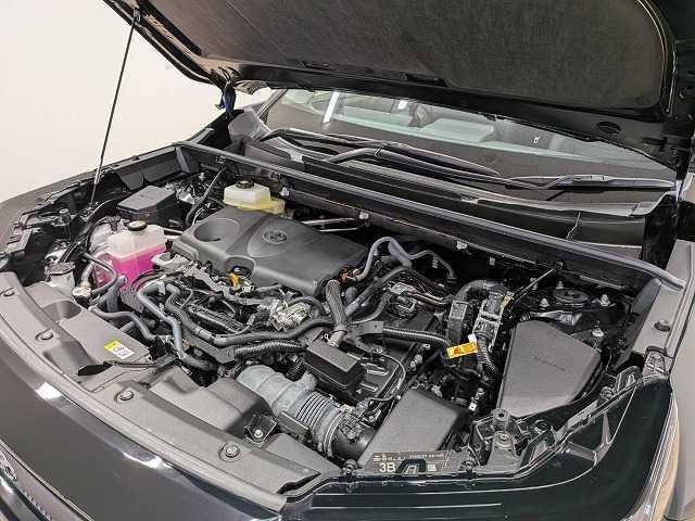 0804910A20260916D00313.jpg
