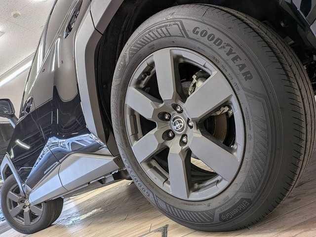 0804910A20260916D00318.jpg