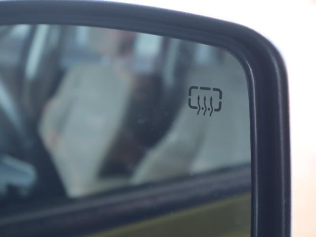 24219563_carP_l_19.jpg