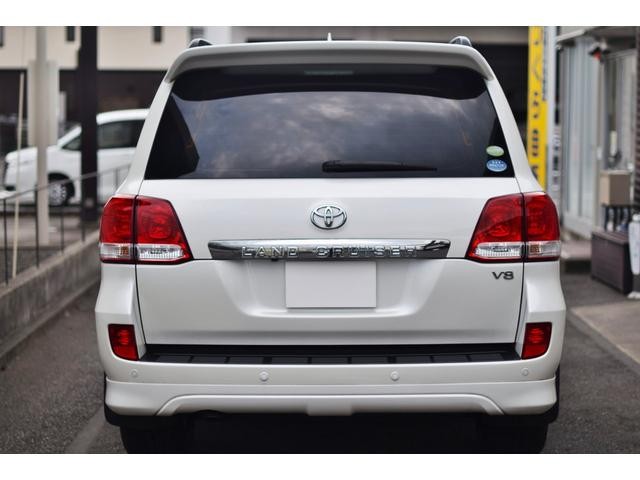 0620095A30260728W00110.jpg