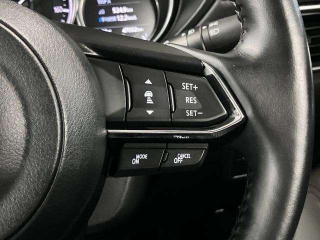 0500075A20260728K01116.jpg