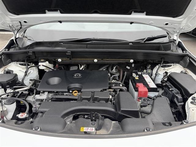 8f6ab6499c2fa09b5bb956d18e664890.jpg