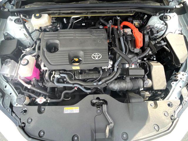 a0c82425503f8e69197712fe81e488c6.jpg