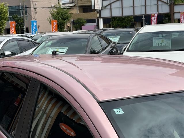 0706195A30260911W00112.jpg