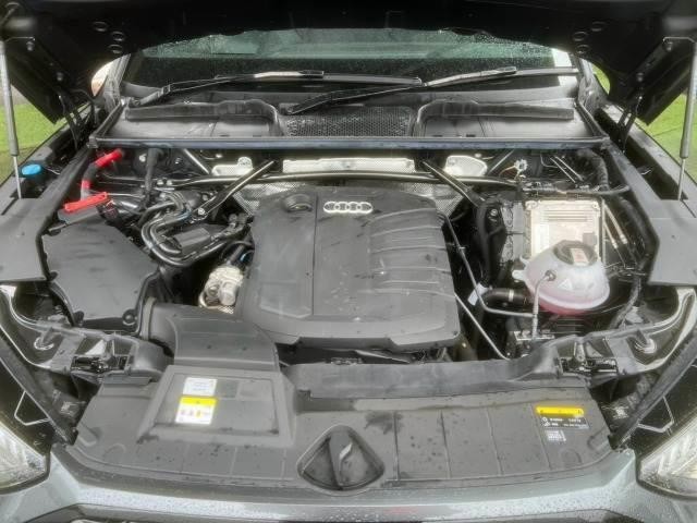 0127516A20260917D00413.jpg