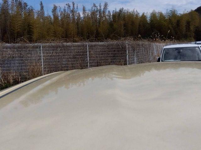 229f5f3abee5f77d92f06f0fce7bd1a4.jpg