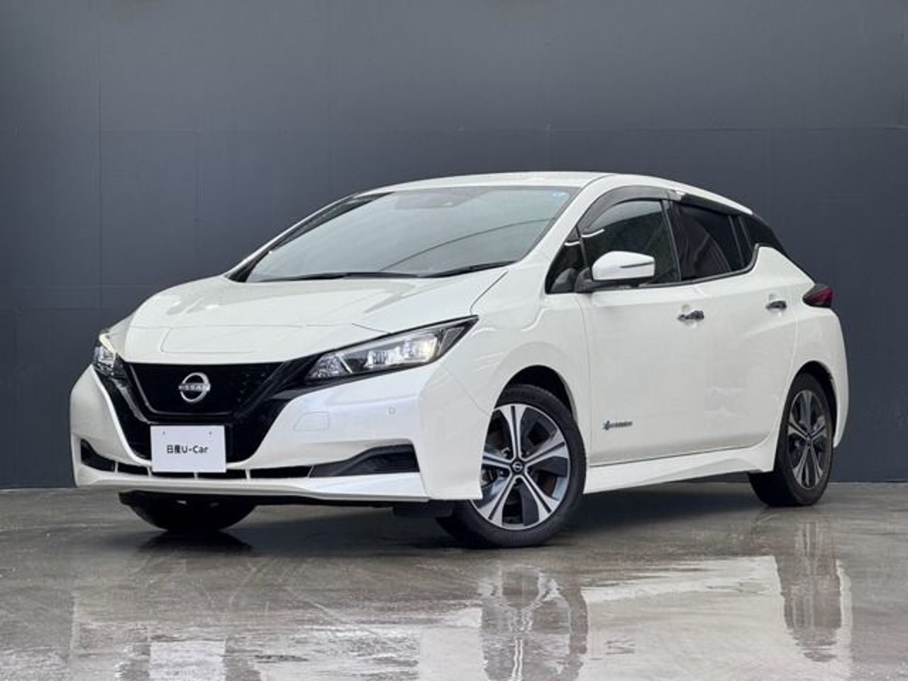 2022 Nissan Leaf Standard for sale in Kenya
