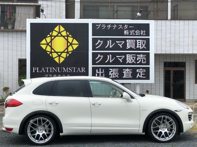 9540136A30260506W00102.jpg