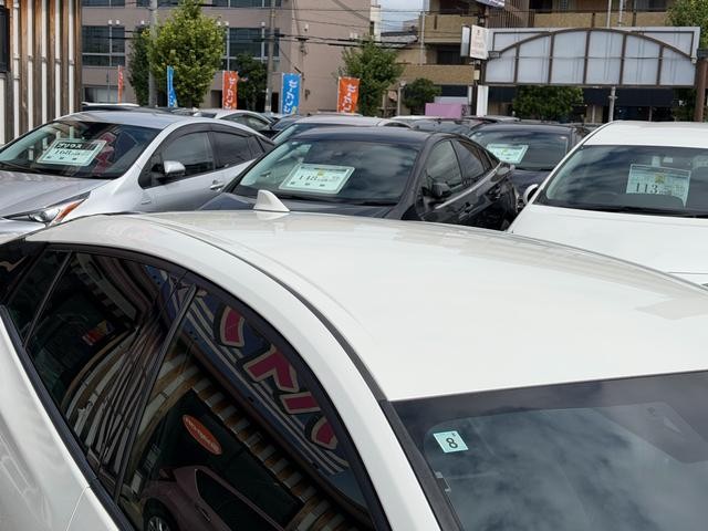 0706195A30260911W00514.jpg