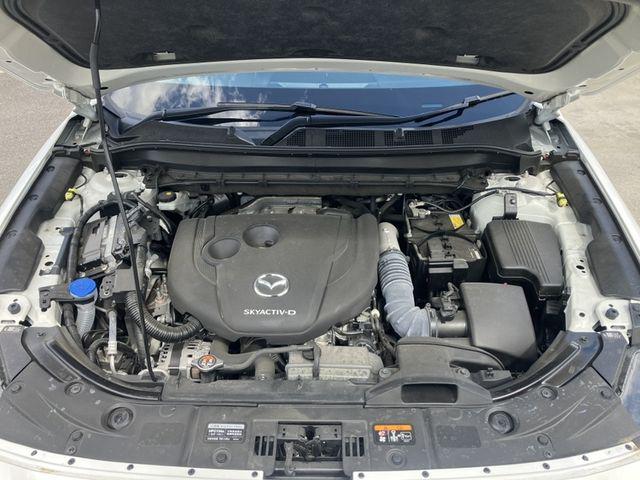 dd99ec5eb15d2ef25bcf6878c656e6dd.jpg