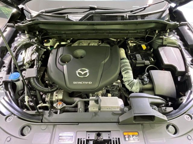 4e34382fe1a2ccb6c640a786caf2a0d8.jpg