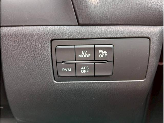 1150192A30260717W00203.jpg