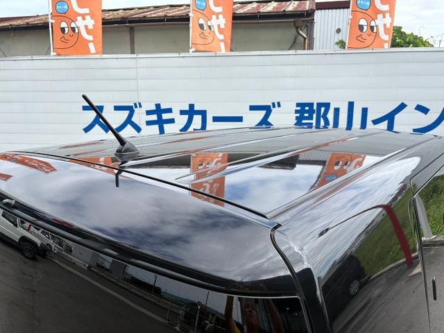 0706954A30260913W00205.jpg