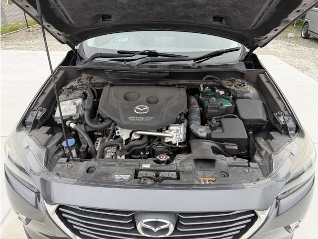 78c84c29af445dbaa116c7905686561e.jpg