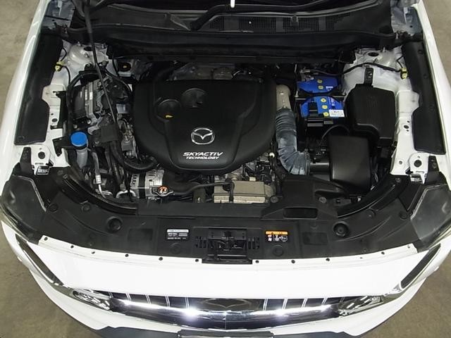 0500075A20260912K01419.jpg