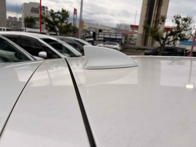 0702900A30260912W00319.jpg