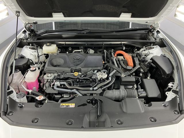 3e42bda8727c71ea3cb66c367e3fd72e.jpg