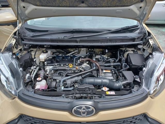 0501564A30260906W00108.jpg