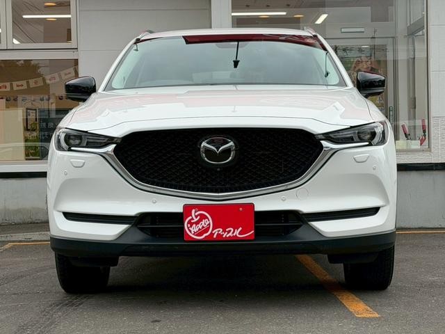 0300810A30260528W00215.jpg