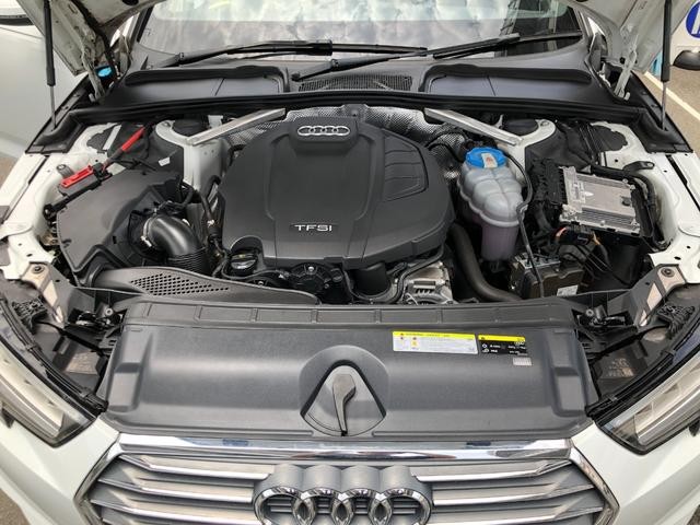 9572574A30260804W00115.jpg